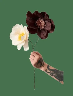 Studio About Torkade Blommor|PAPER FLOWER - Torkade blommor