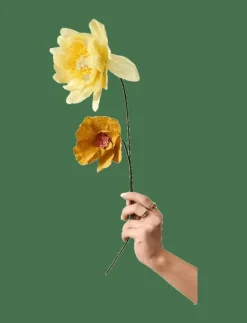Studio About Torkade Blommor|PAPER FLOWER - Torkade blommor