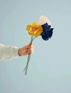 Studio About Torkade Blommor|PAPER FLOWER - Torkade blommor