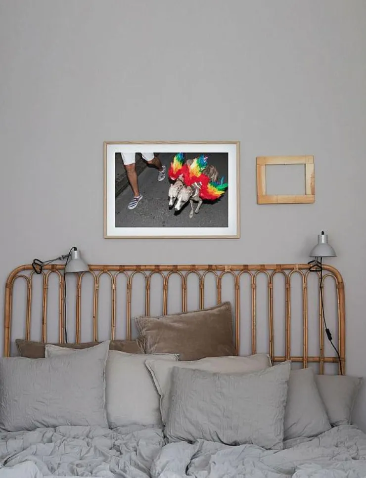 Democratic Gallery Poster Rainbow Dogs - Fotokonst| Posters & Ramar