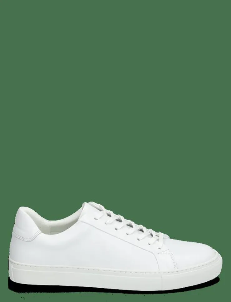 Sneaky Steve Sneakers|Roony - Låga sneakers