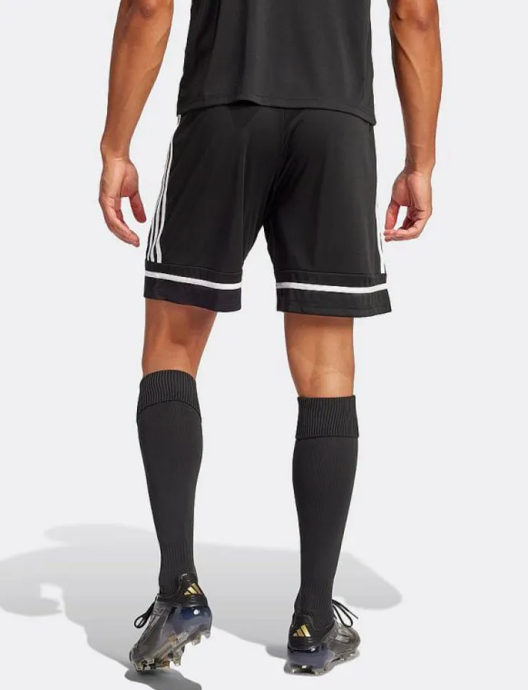 adidas Performance SQUA25 SHO M - Sportshorts| Shorts