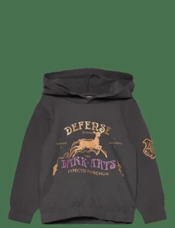 Barn Harry Potter Överdelar|SWEATS - Huvtröjor