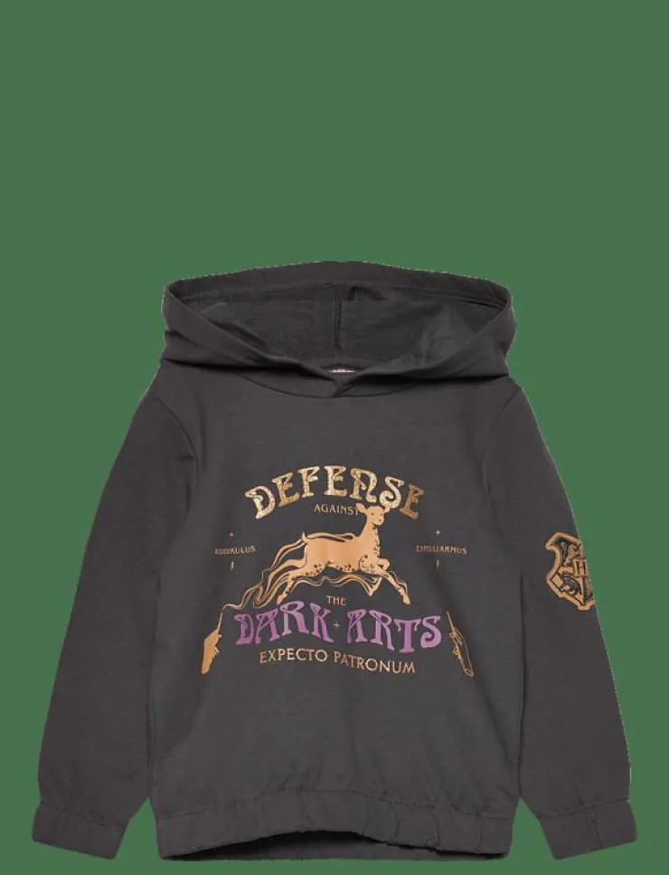 Barn Harry Potter Överdelar|SWEATS - Huvtröjor