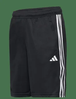 adidas Performance Shorts|TR-ES PIQ 3SHO - Träningsshorts