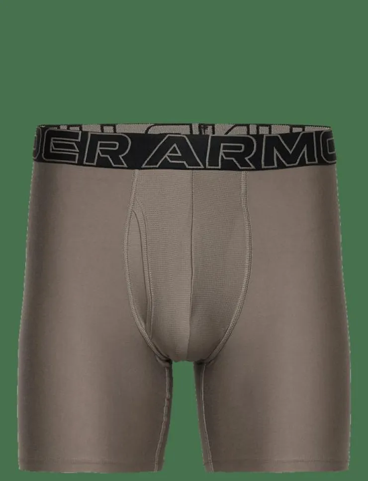 Under Armour Underkläder|UA PERFORMANCE TECH - SOLID 6" 3pk - Kalsonger