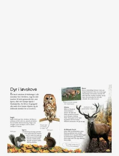 Barn GLOBE Barnböcker|Ud i naturen Skoven - Pedagogisk barnbok