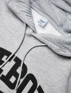 Reebok Classics VARSITY HIGH DENSITY HOODIE - Huvtröjor| Sweatshirts