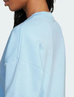 Kvinnor adidas Sportswear Sweatshirts|W LIN FT SWT - Sweatshirts
