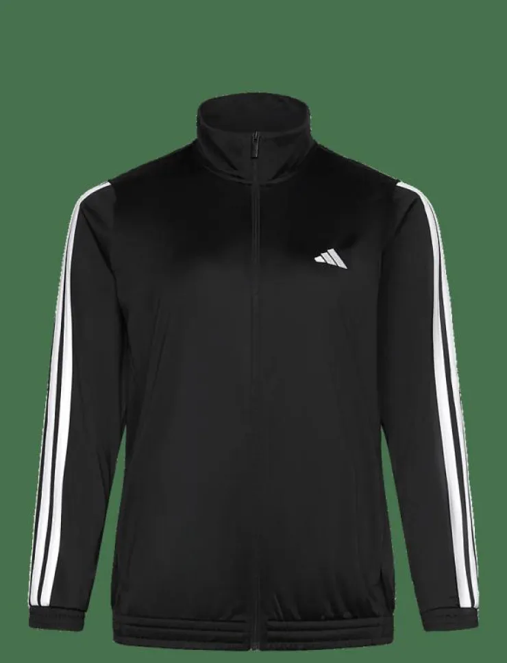adidas Sportswear W 3S TT TRIC - Sweatshirts|Kvinnor Sweatshirts